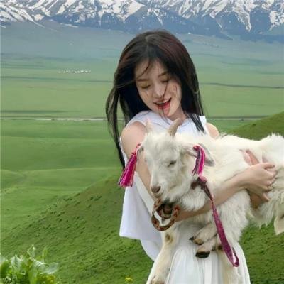 在主的年份
